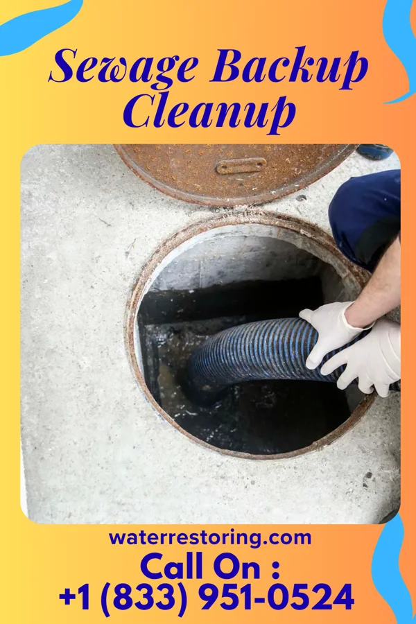 Sewage Backup Cleanup in Islamorada, Village of Islands, FL