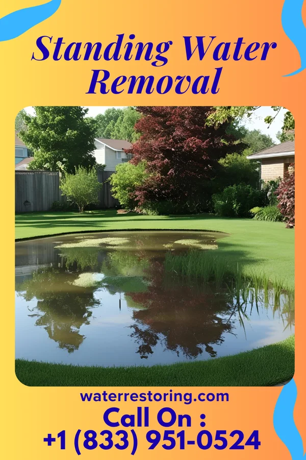 Standing Water Removal in Islamorada, Village of Islands, FL